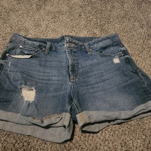 Plus Size Shorts
